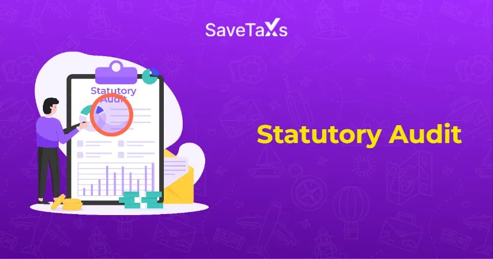 Statutory Audit
