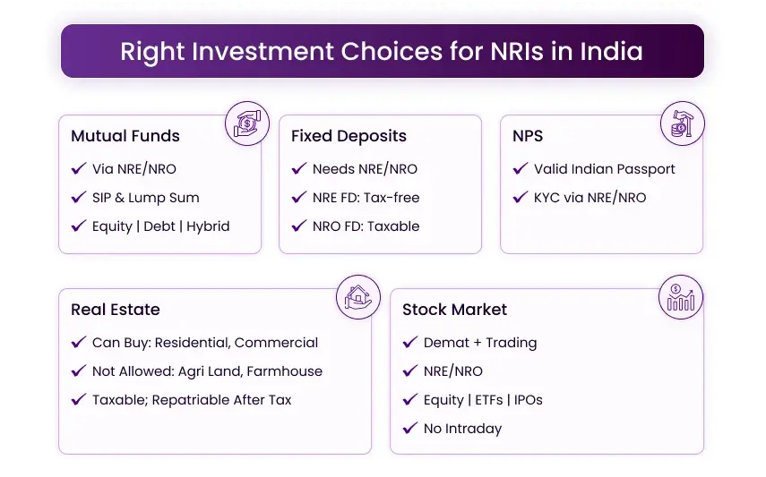 infographic for NRI Investment Options i