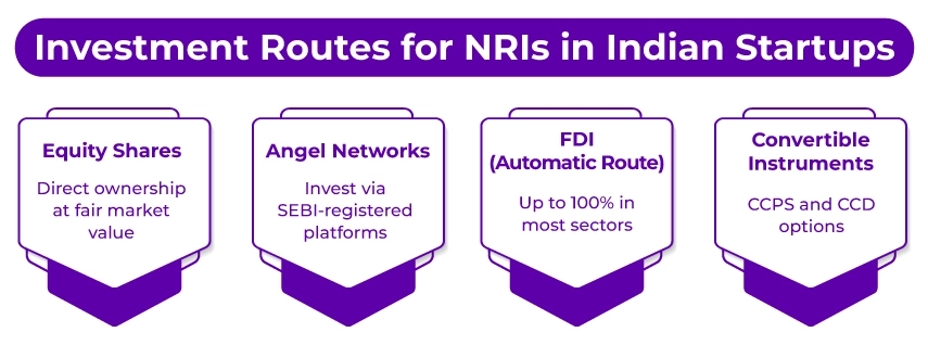 NRIs investment routes