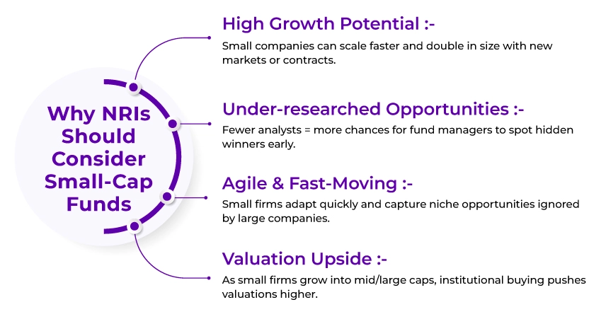 Should NRIs Opt for Small Cap Funds