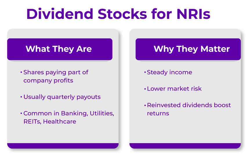infographic for Dividend Stocks for NRIs 