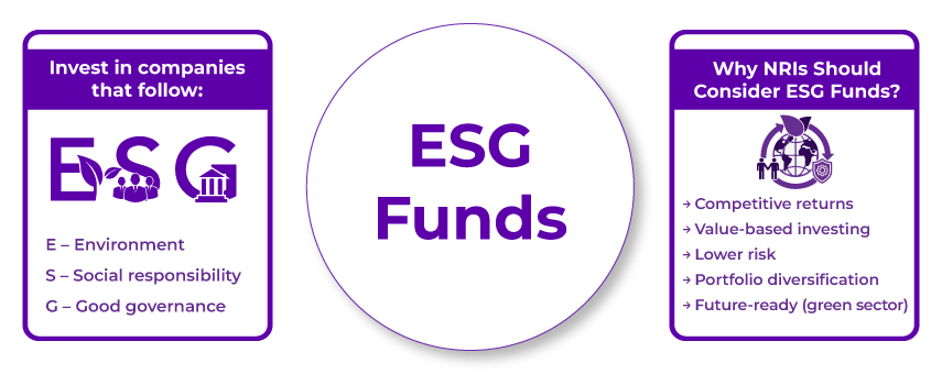 What Are ESG Funds